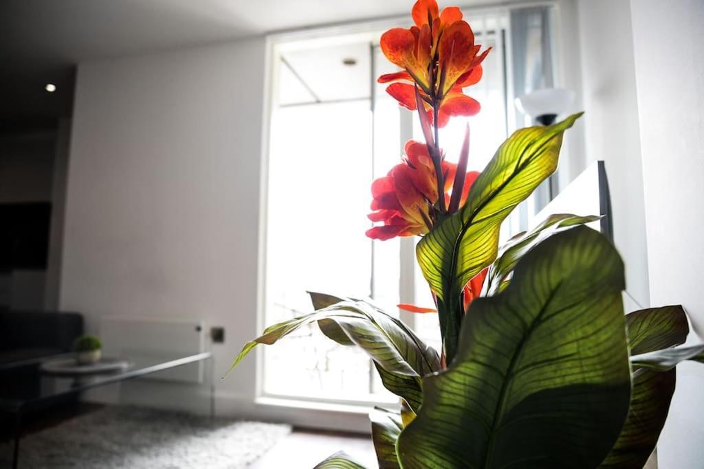 Modern 2 Bedroom Apartment - City Centre - Parking Manchester Eksteriør bilde